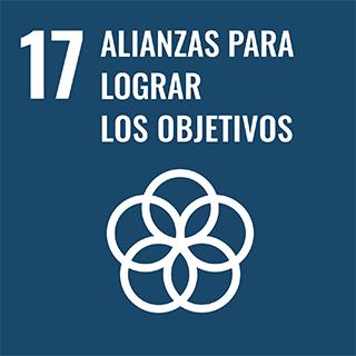 17-alianzas-para-lograr-los-objetivos-3.jpg