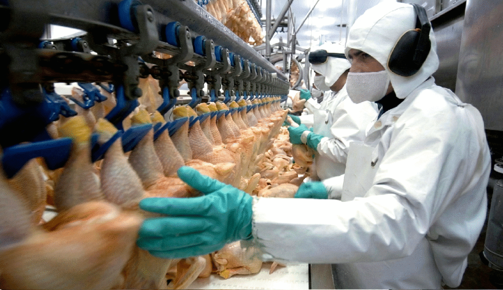 SYNCOLD® 717 en el sector de alimentos